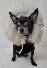 Charger l&#39;image dans la galerie, manteau chien - Isadora &amp; Cie
