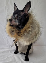 Charger l&#39;image dans la galerie, manteau de chien - Isadora &amp; Cie
